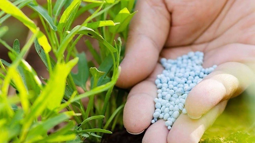 Production of phosphorus fertilizers in Russia reached almost 3.9 million tons