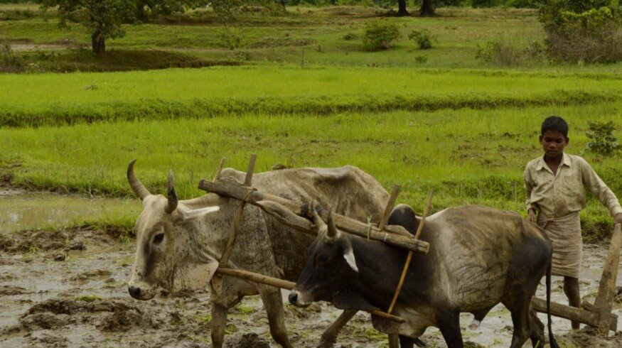 India proposed to raise carbamide prices