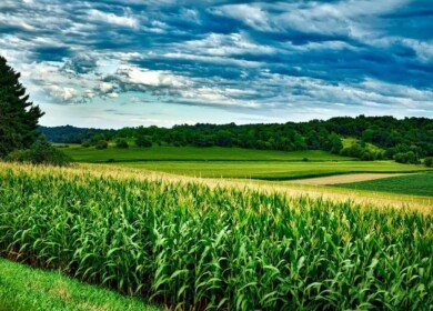 NASA and CropX will join forces