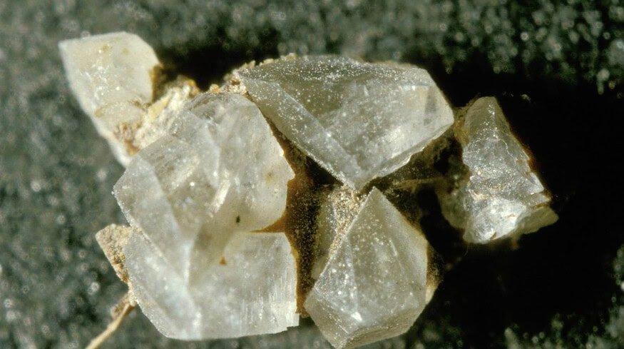 Russian scientists developed new struvite fertilizer