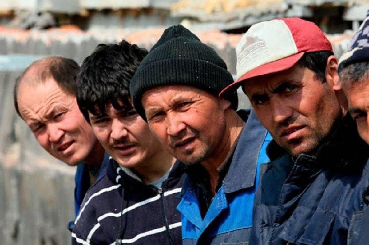 Illegal immigrant workers found on Eco-Culture’s production