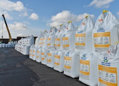 Agrochemicals in Russia are cheaper than abroad