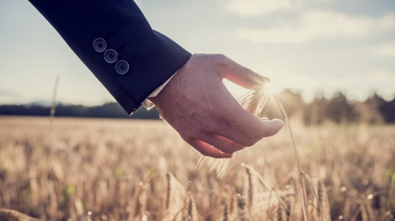 Russia expects to fulfill the demand for agrochemicals