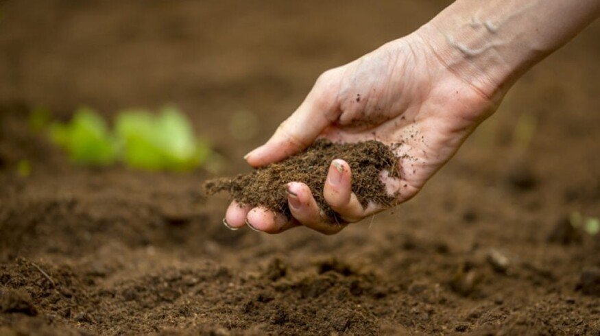 Mosaic concerned about the fertility of the soil
