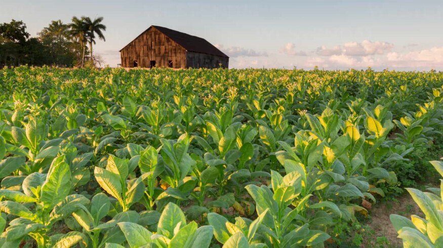 Cuba will increase the production of biological products