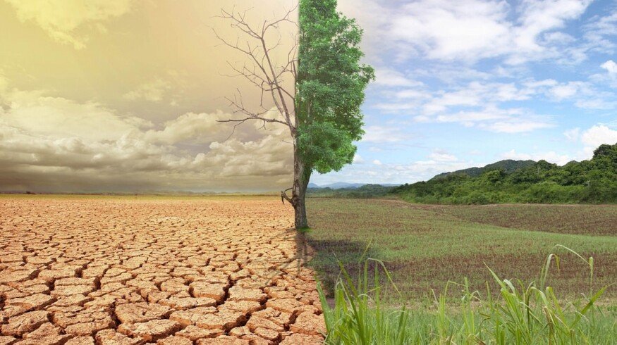 Yara decided to capitalize on climate change