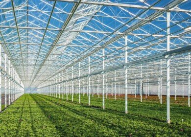 New greenhouse complex will be built in Buryatia