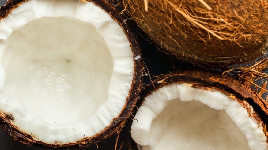 Turkmen entrepreneur produces enriched soil from coconuts and sand