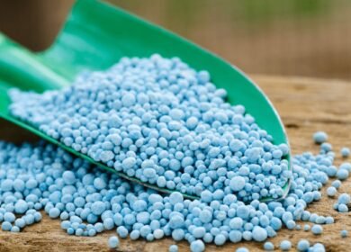 AzAqromila launched new fertilizer plant in Azerbaijan