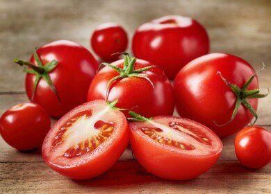 Bayer begins sales of new tomato varieties