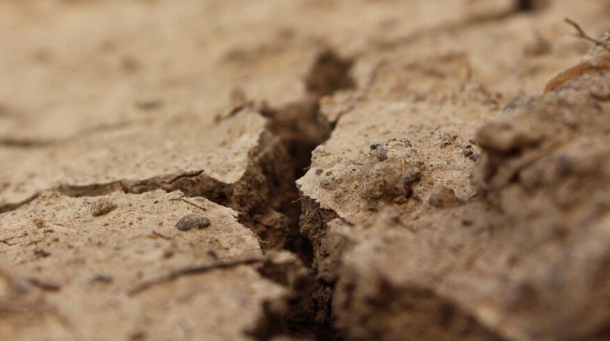 Kursk region is facing problems with the soil