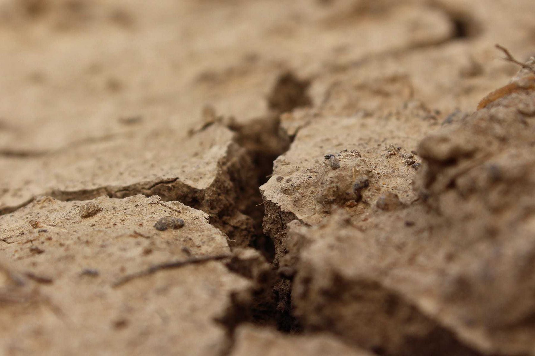 Kursk region is facing problems with the soil