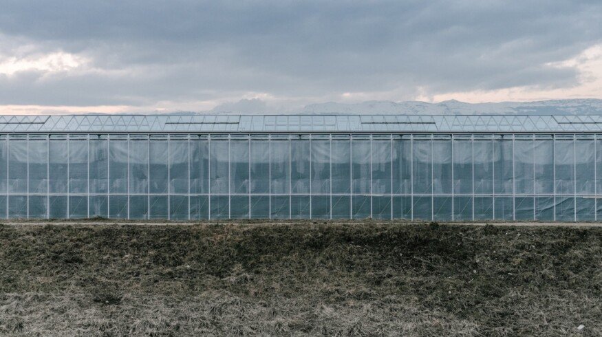 TyumenAgro plans to expand its assets