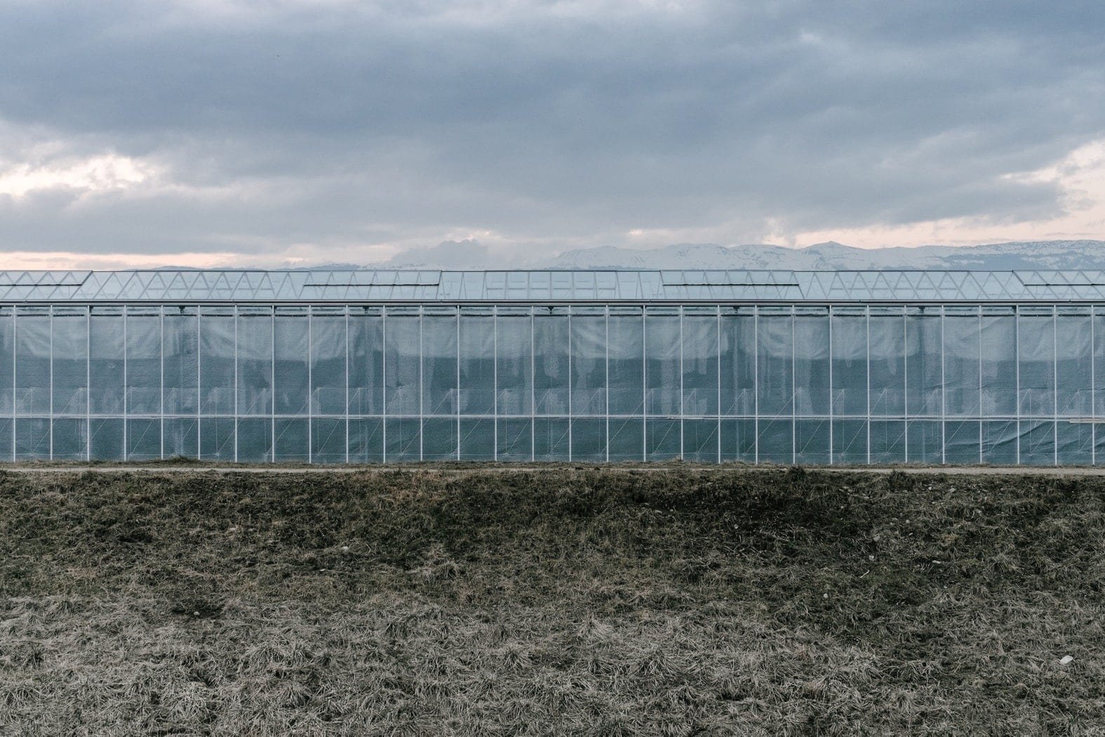 TyumenAgro plans to expand its assets