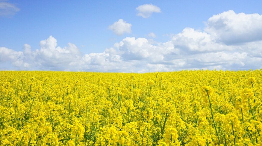 Aleko was fined for application of prohibited fertilizers