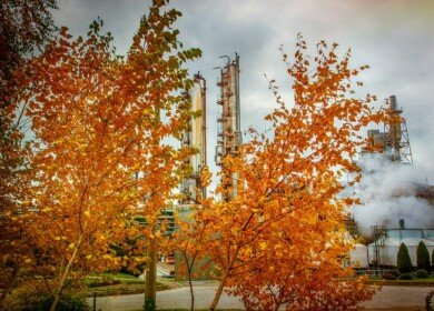 Odessa Port Plant suspends its production due to high gas prices