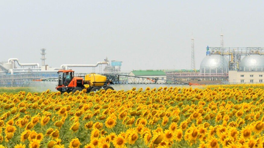 PhosAgro held a Field Day in the Saratov region