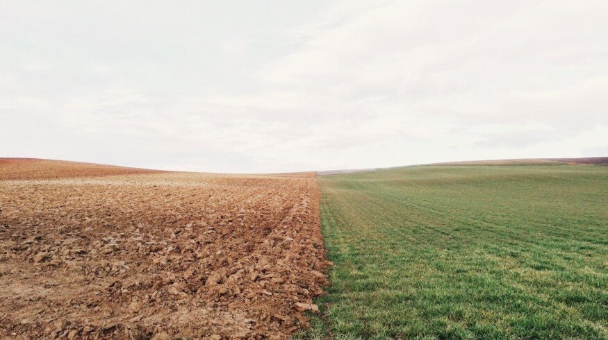 Purchases of mineral fertilizers are increasing in Chuvashia