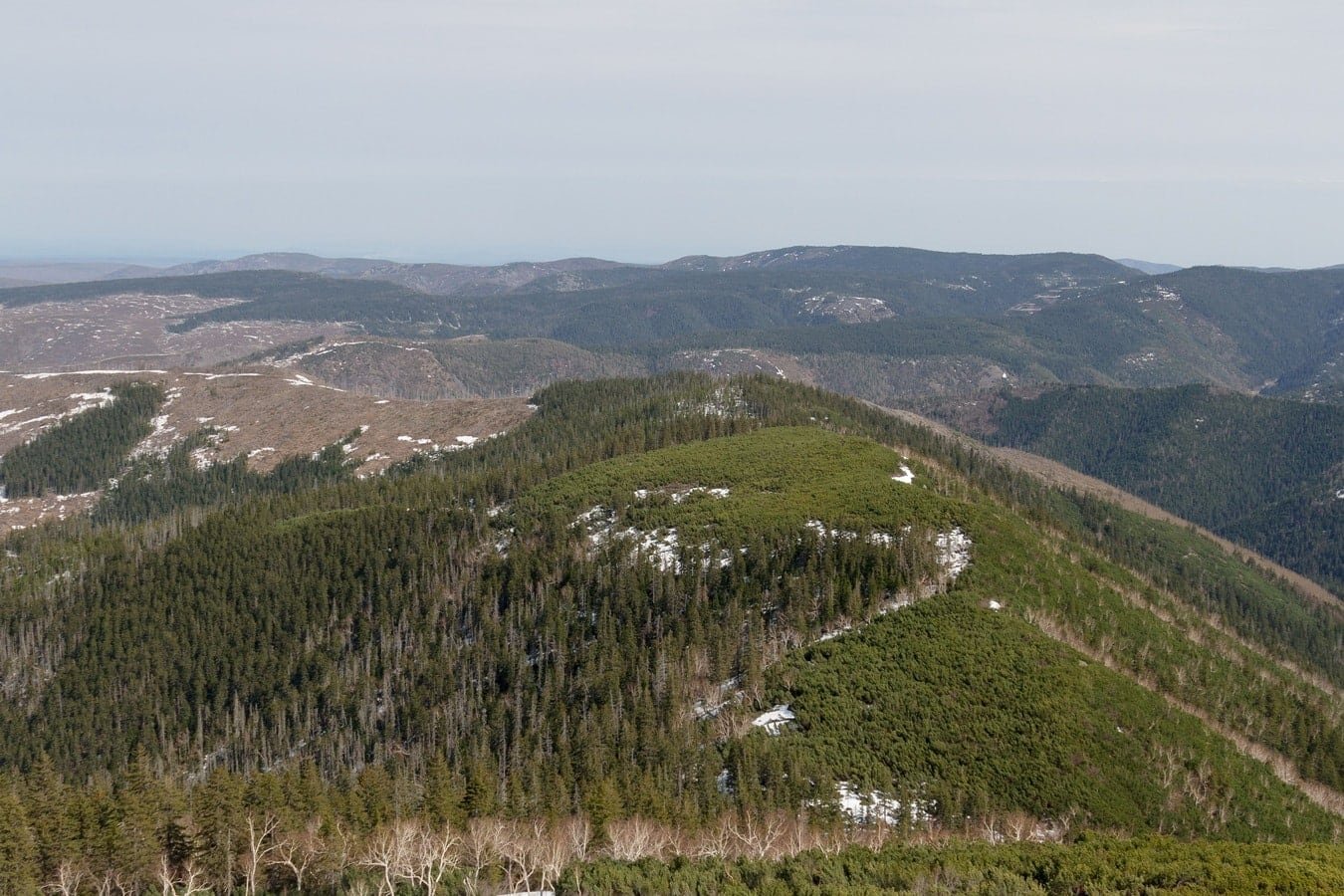A green ammonia production center may appear in the Far East