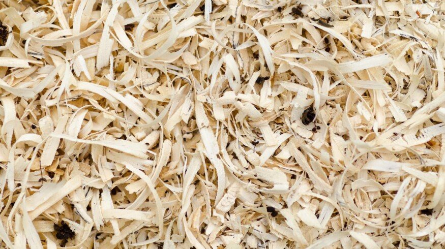 Fertilizer from sawdust was developed in the Far East