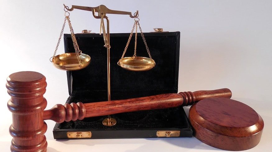 Volga agricultural complex is sued by local authorities