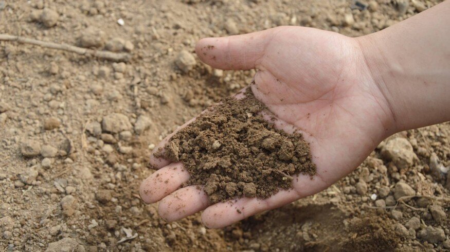 Small farms in Russia may face a lack of fertilizers
