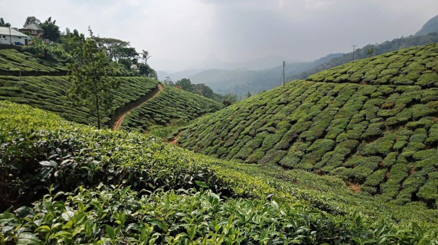 India may reconsider it agricultural reforms