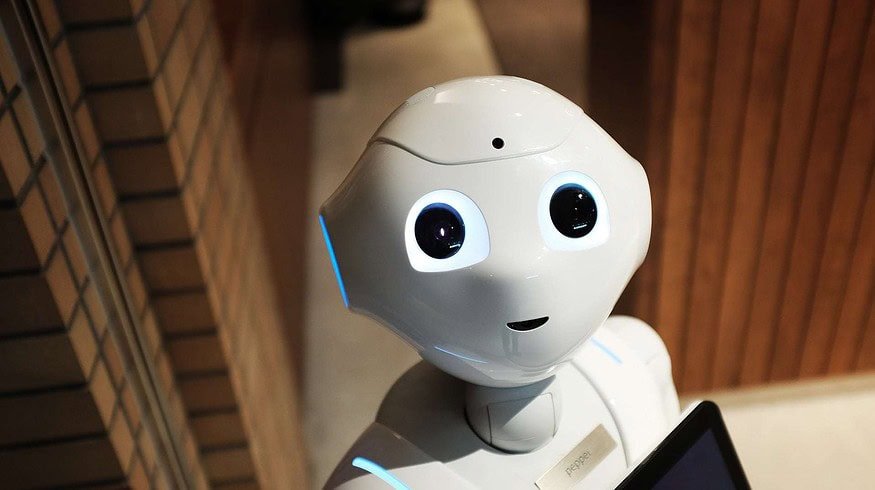 Robots for greenhouse complexes were created in Australia
