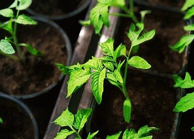 European Union changed organic farming regulations