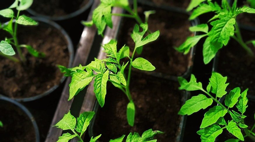 European Union changed organic farming regulations