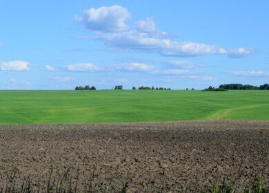 Producers froze fertilizer prices for farmers in Bashkortostan