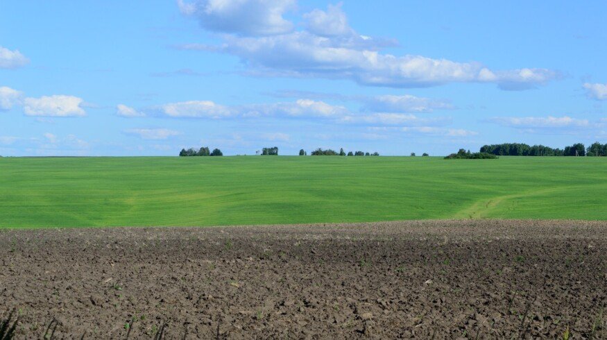 Producers froze fertilizer prices for farmers in Bashkortostan