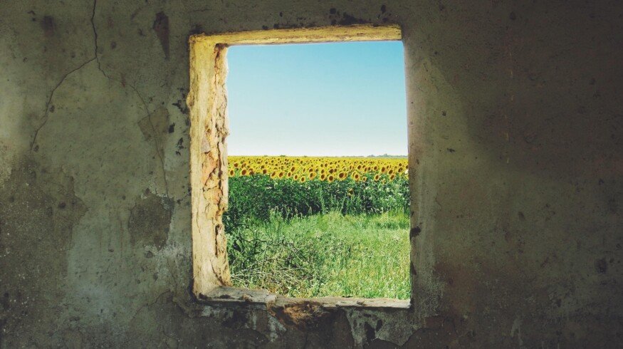 Ukraine may fail the spring sowing campaign