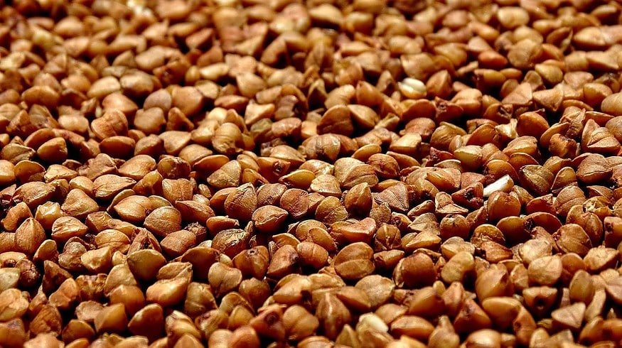 Russia allocates more than 1 million hectares for buckwheat crops