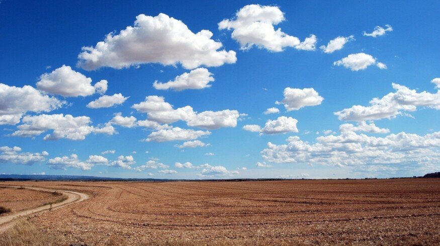 Moscow agriculture is purchasing fertilizers for the spring sowing campaign