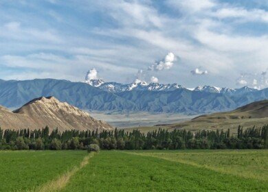 Kyrgyzstan tries to prevent a shortage of fertilizers
