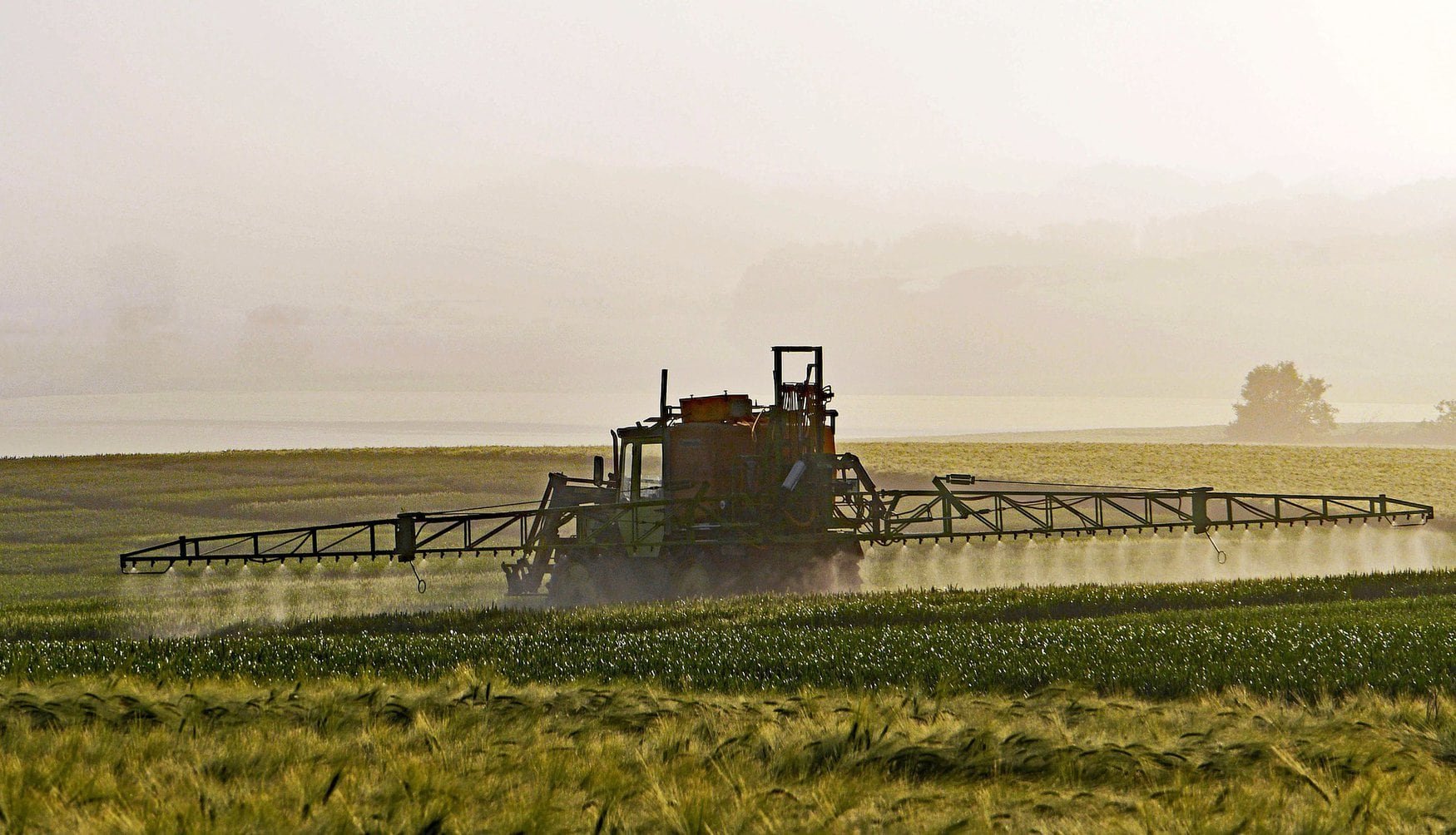 Ukraine may face a pesticide collapse