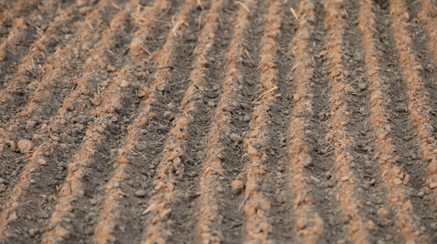 Spring fieldworks had started in the Saratov region