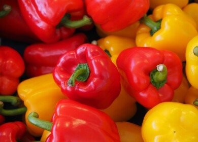 Third greenhouse complex may be created in Komi region