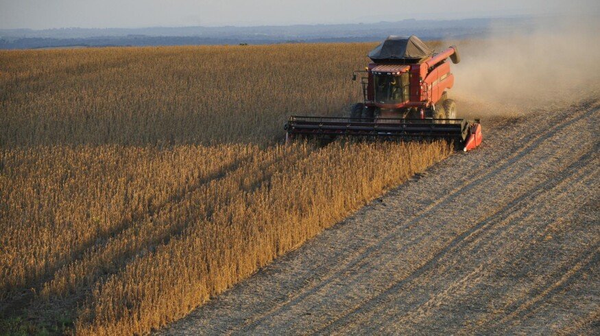 Belaruskali may resume shipments to Brazil