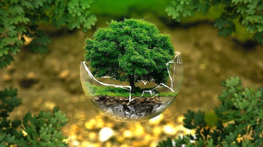Sound Agriculture will improve nitrogen fertilizers usage