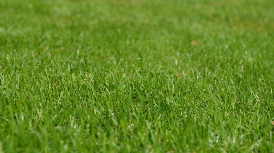 Prime Source brings new fungicide to market