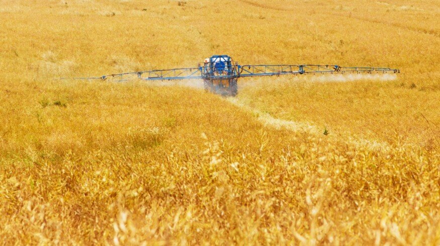 Ukraine expects to collect 18-19 million tons of wheat