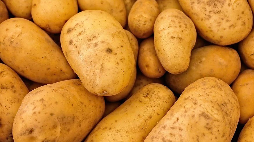 Russian Government will identify crucial food security crops
