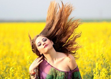 Rapeseed cultivation in Russia is expected to expand