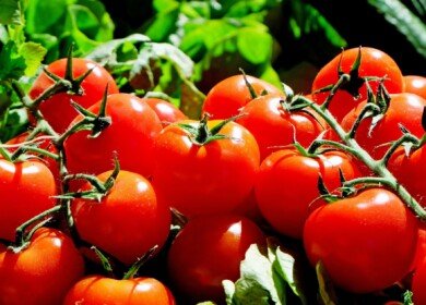 Magnit purchased another greenhouse complex