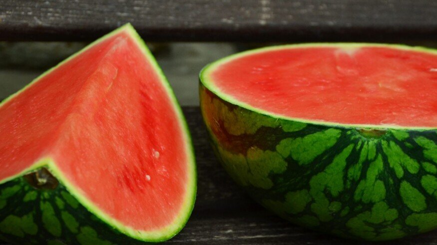 Miratorg decided to grow watermelons