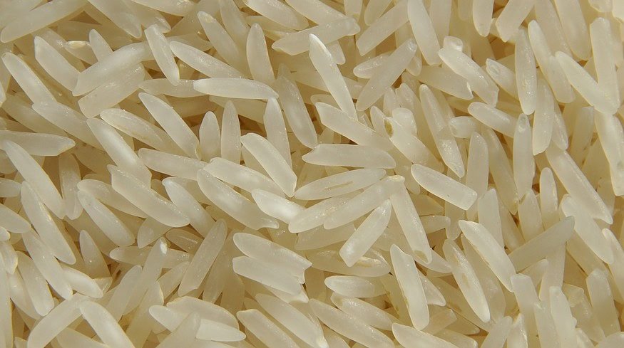 Rice crops in Crimea will be expanded