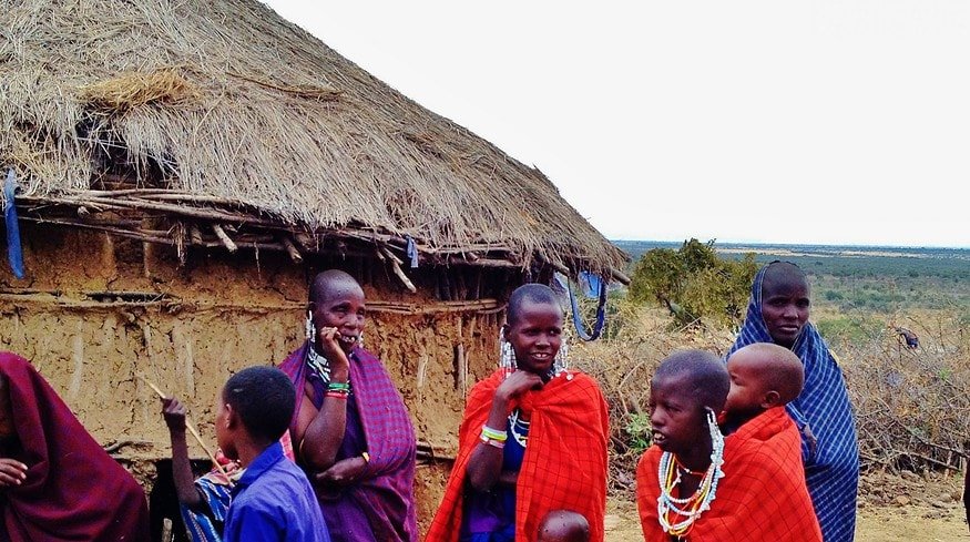 Russia aims to provide pro bono help for developing countries