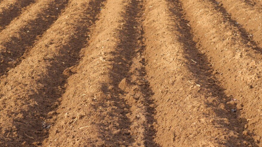 Farmers of the Kaliningrad region expect fertilizer prices increase